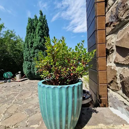 Benyecske Chill & Erdőbénye