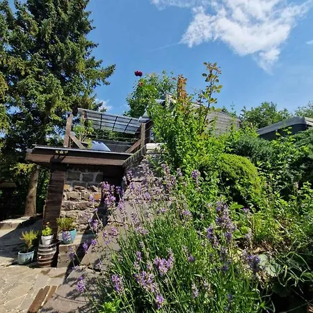 Benyecske Chill & Erdőbénye